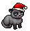 Grouchy Cat