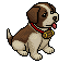 Stevie the St. Bernard