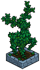 Deer Topiary