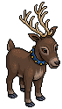 Finnish Forest Reindeer