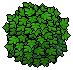 Winter Shrub