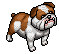 British Bulldog