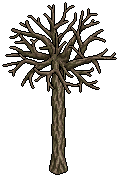 Snowy Tree