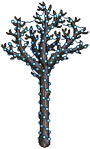 Illuminated Winter Tree