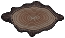 Forest Stump