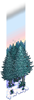 Nordic Winter Forest