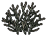 Snow Covered Bush