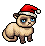 Festive Ragdoll
