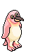 Albino Penguin
