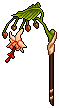 Cocoa Decor