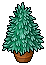 Mini Fir Tree