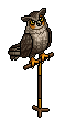 Wise Owl