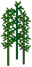 Zen Bamboo