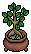 Zen Bonsai Tree