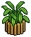 Zen Shrub