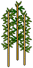 Harmony Garden Bamboo