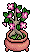 Harmony Garden Bonsai